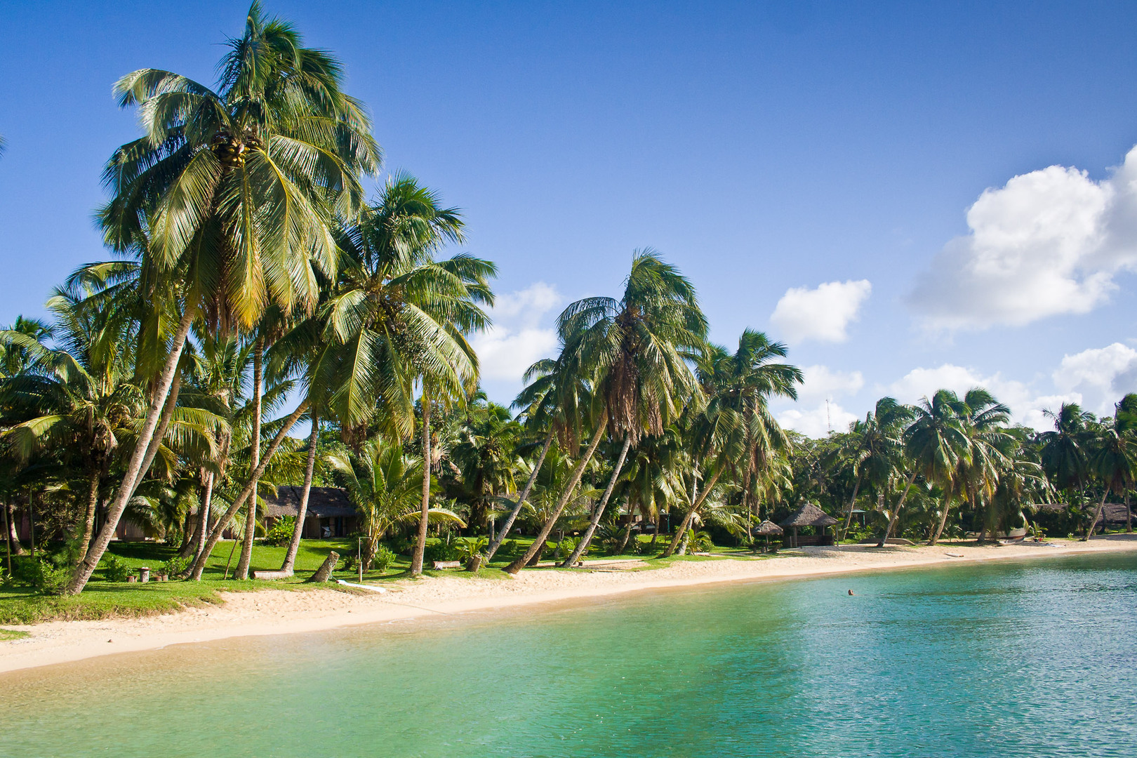 tropical-landscape-panama